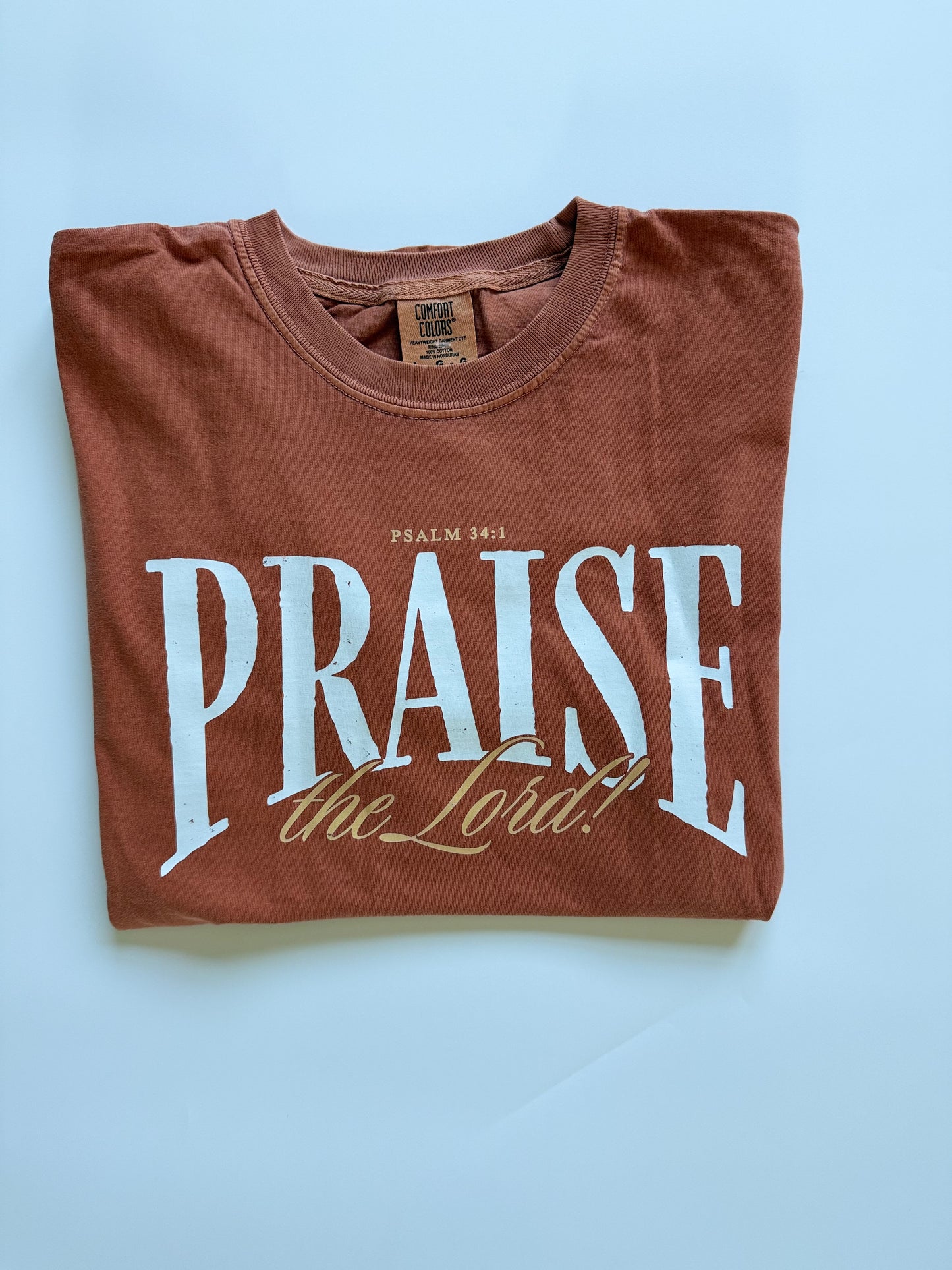 Praise the Lord Tee : Adult