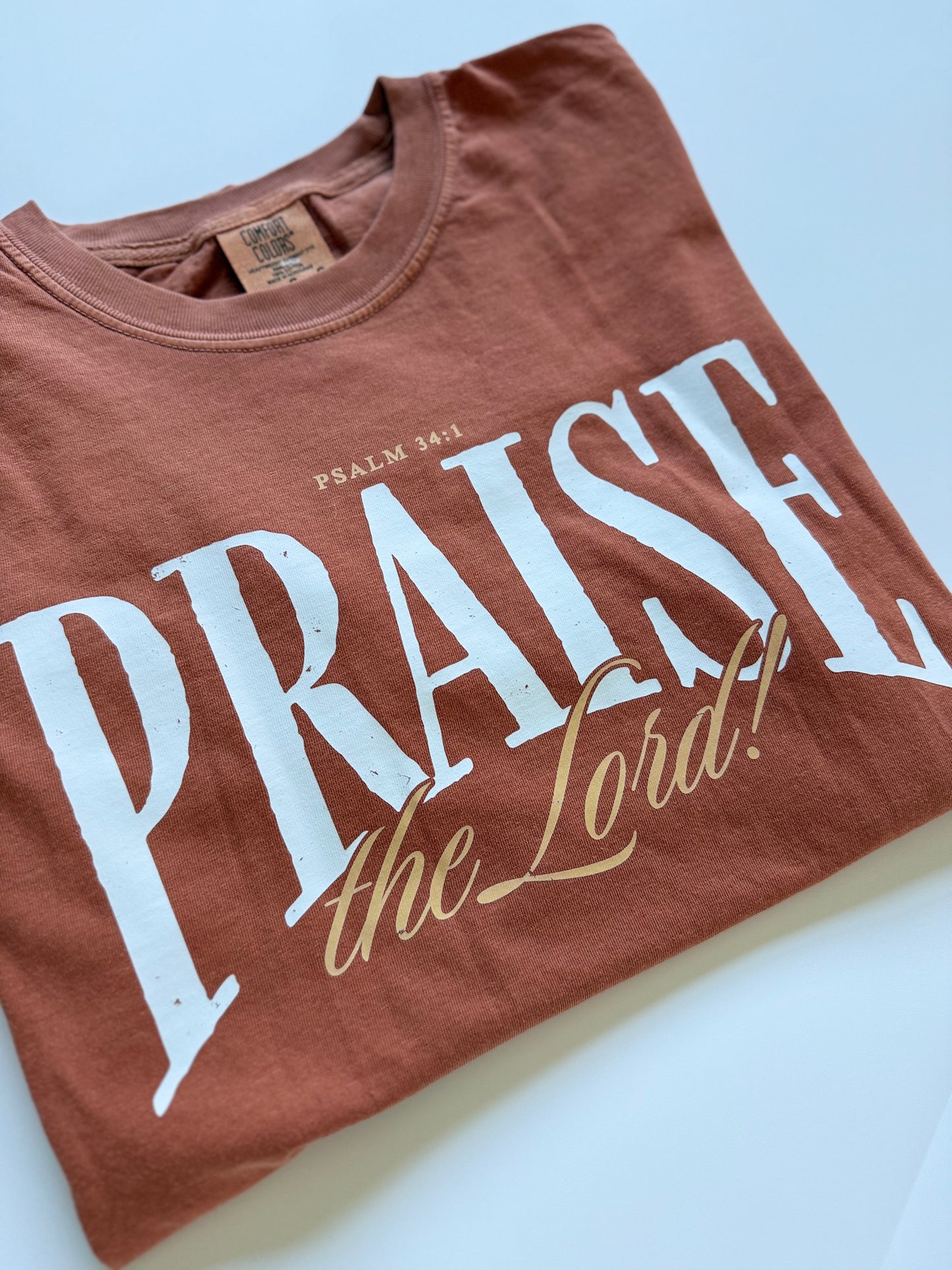 Praise the Lord Tee : Adult