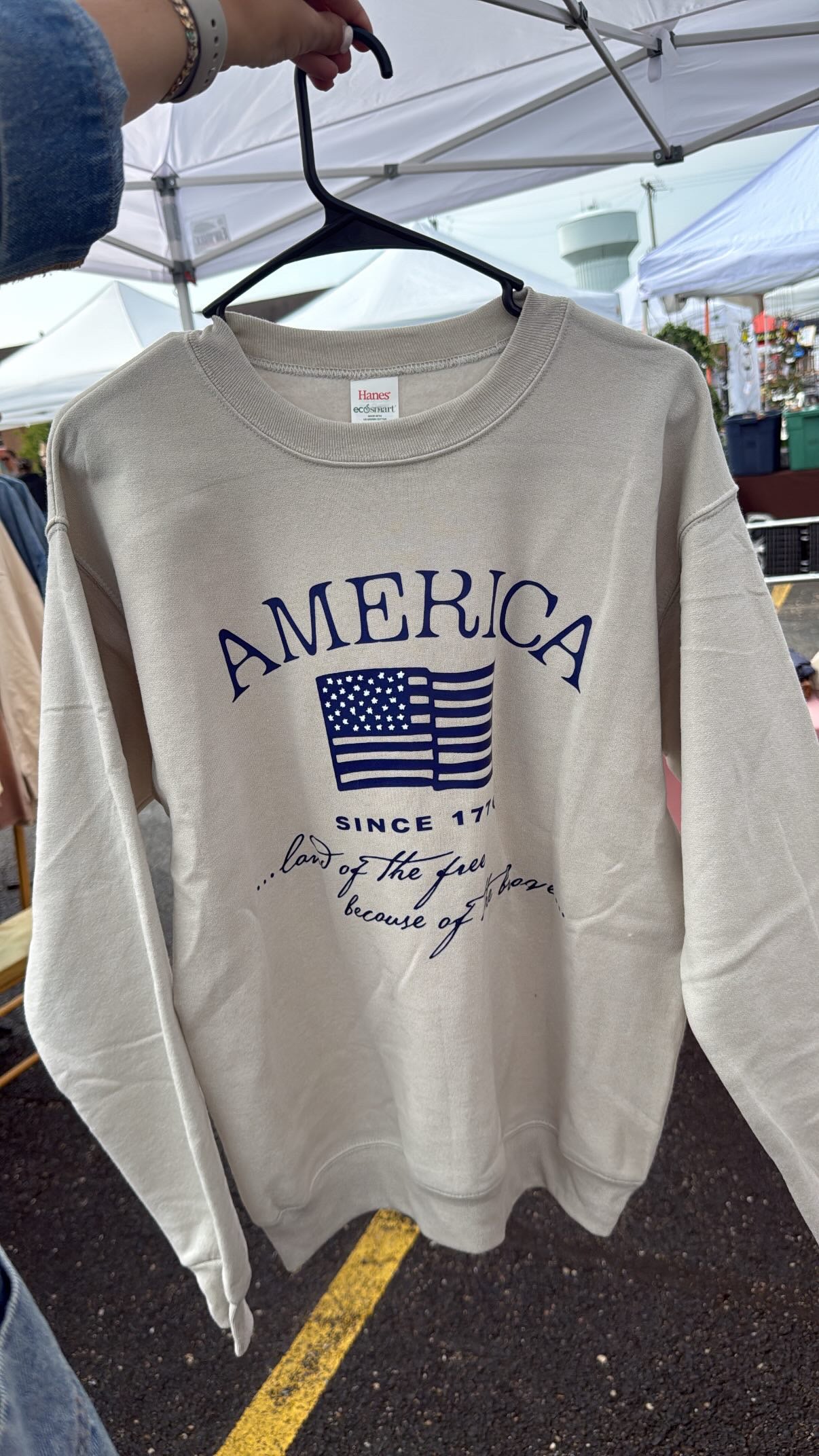 America Crewneck: Adult